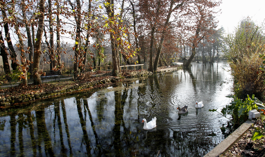 foto delle sorgenti del fiume livenza
